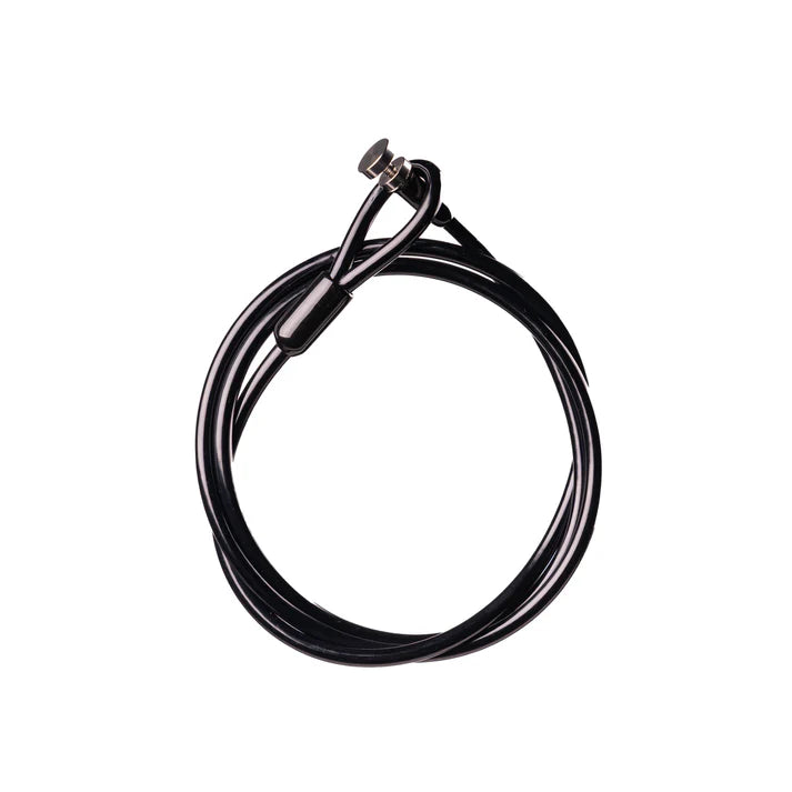 SECURITY CABLE